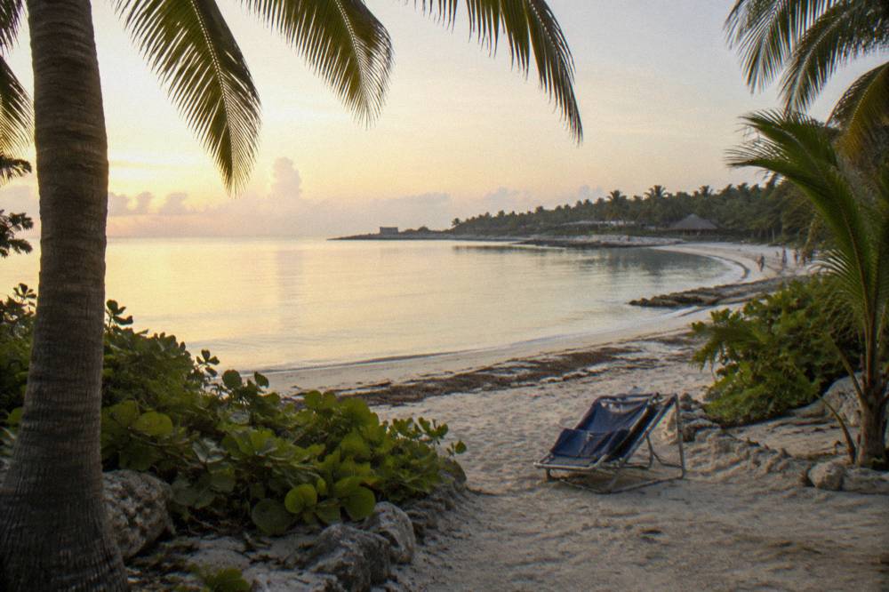 An empty palm-lined beach at Akumal in soft early light before crowds arrive